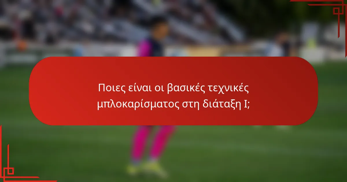 Ποιες είναι οι βασικές τεχνικές μπλοκαρίσματος στη διάταξη I;